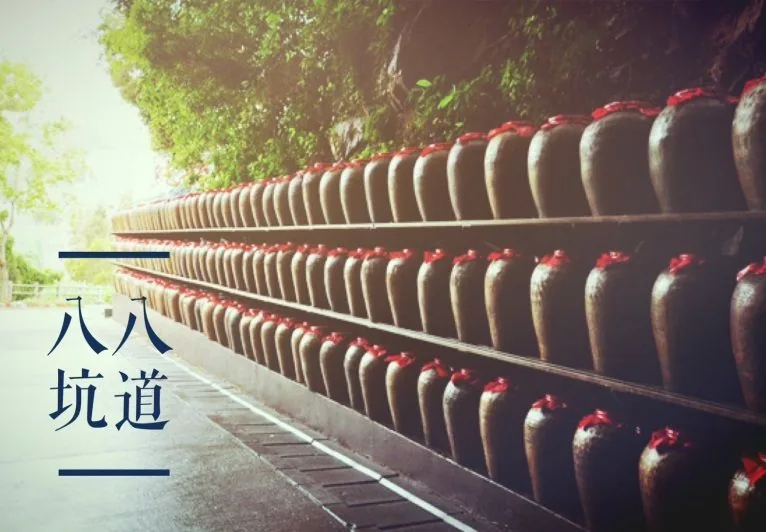 八八坑道